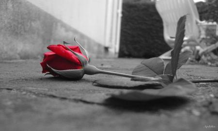 pour toi...